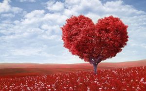 Saint Valentin 2024 – Date et origine de la fête des amoureux