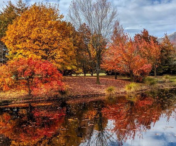 Saison de l’automne